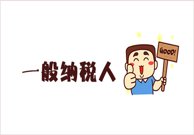 一般纳税人知识
