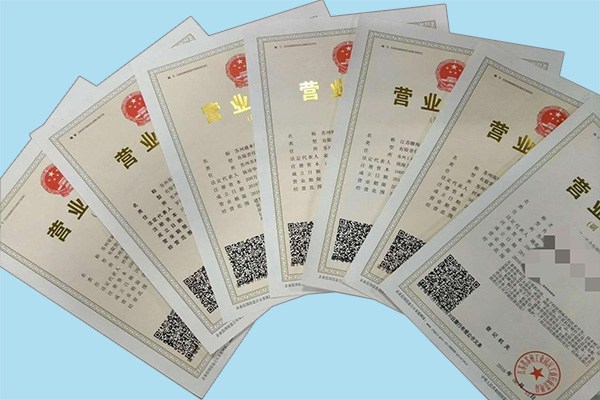 注册公司案例
