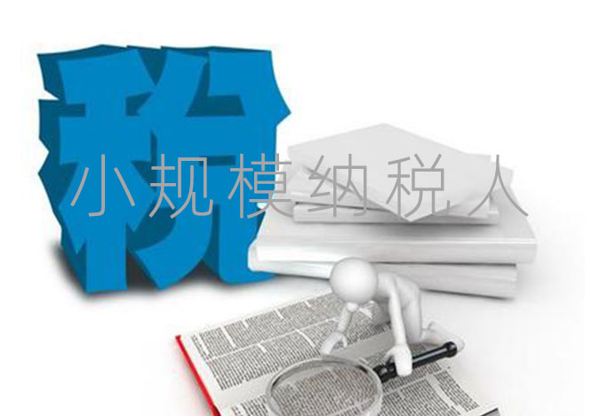 小规模纳税人